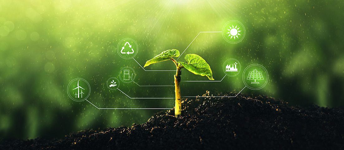 Mladá rastlina v pôde s ikonami recyklácie, veterných turbín, slnka, továrne a solárnych panelov symbolizujúcimi udržateľnú e