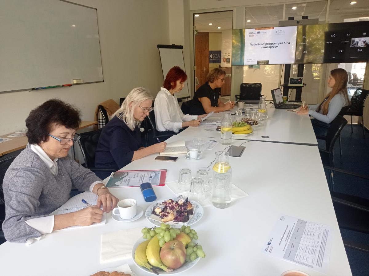 Príprava akčného plánu na podporu sociálneho podnikania